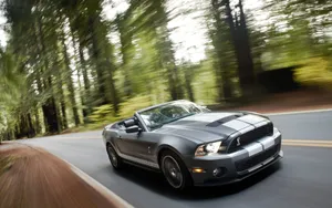 2010款福特眼镜蛇GT500跑车壁纸_4