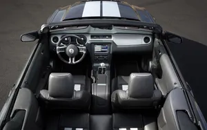 2010款福特眼镜蛇GT500跑车壁纸_5