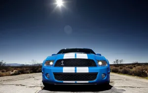 2010款福特眼镜蛇GT500跑车壁纸_9