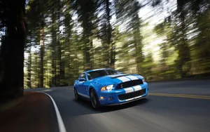 2010款福特眼镜蛇GT500跑车壁纸_10