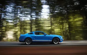 2010款福特眼镜蛇GT500跑车壁纸_11