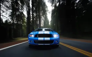 2010款福特眼镜蛇GT500跑车壁纸_12