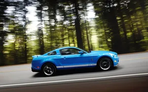 2010款福特眼镜蛇GT500跑车壁纸_13