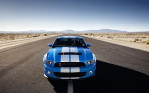 2010款福特眼镜蛇GT500跑车壁纸_14
