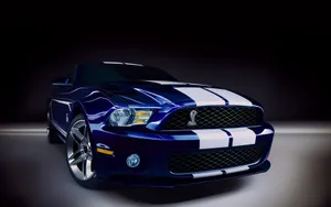 2010款福特眼镜蛇GT500跑车壁纸_19