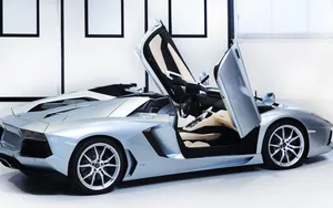 2014款兰博基尼Aventador LP700-4壁纸_17