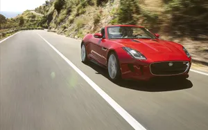 Jaguar 捷豹 F-Type 2014_19