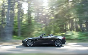Jaguar 捷豹 F-Type 2014_21