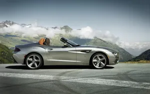 宝马zagato Roadster敞篷车图片_19