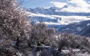 索松村雪山雪景图片_2