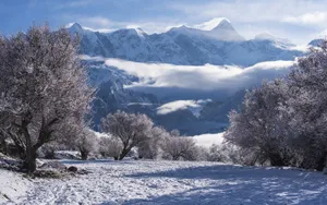 索松村雪山雪景图片_3