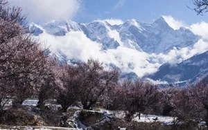 索松村雪山雪景图片_4