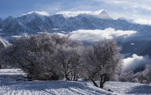 索松村雪山雪景图片_7