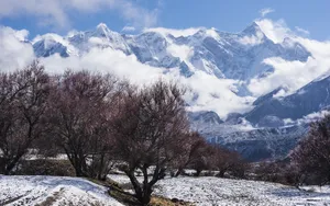 索松村雪山雪景图片_9