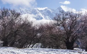 索松村雪山雪景图片_12
