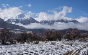 索松村雪山雪景图片_13