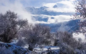 索松村雪山雪景图片_14