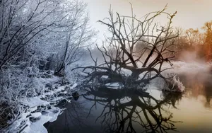 吉林长白山魔界雪景图片_5