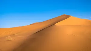 一望无际的沙漠图片_3