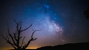 繁星点点的星空图片_13