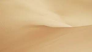 荒凉的沙漠沙丘图片_4