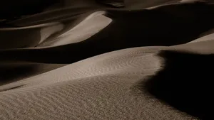 荒凉的沙漠沙丘图片_7