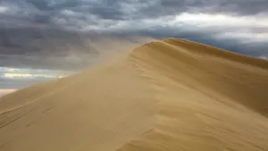荒凉的沙漠沙丘图片_9