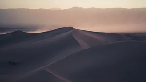 荒凉的沙漠沙丘图片_10