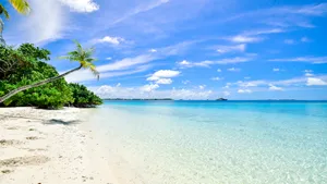 唯美大海海滩图片_5