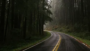 景色优美的公路图片_4