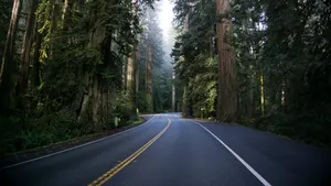 景色优美的公路图片_5