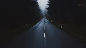 景色优美的公路图片_6