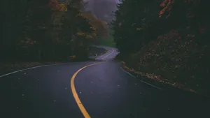 景色优美的公路图片_8