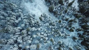 寒冷的冬季白雪雪地美景图片_2