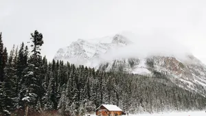 寒冷的冬季白雪雪地美景图片_3