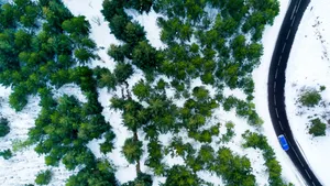 寒冷的冬季白雪雪地美景图片_5