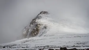 寒冷的冬季白雪雪地美景图片_9
