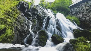 大山深处的瀑布图片_7