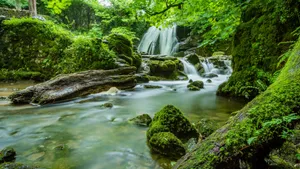 高清溪水溪流图片_2