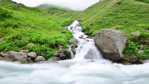 高清溪水溪流图片_3