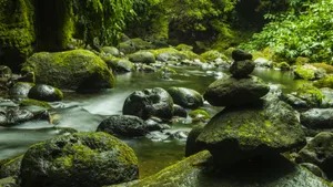 高清溪水溪流图片_7