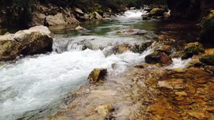 高清溪水溪流图片_9