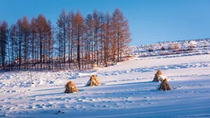 冬季雪景图片大全_2