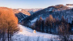 冬季雪景图片大全_3