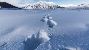 冬季雪景图片大全_9
