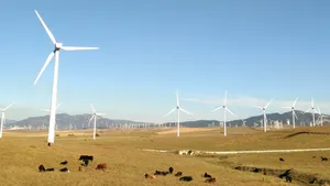 再生新能源风力发电图片_3