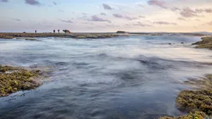 墨尔本海滩优美风景图片_9
