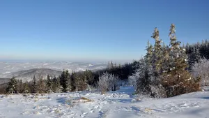冰雪风景图片