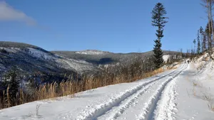 冰雪风景图片_2
