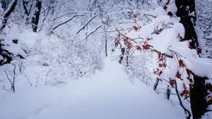 冰雪风景图片_4